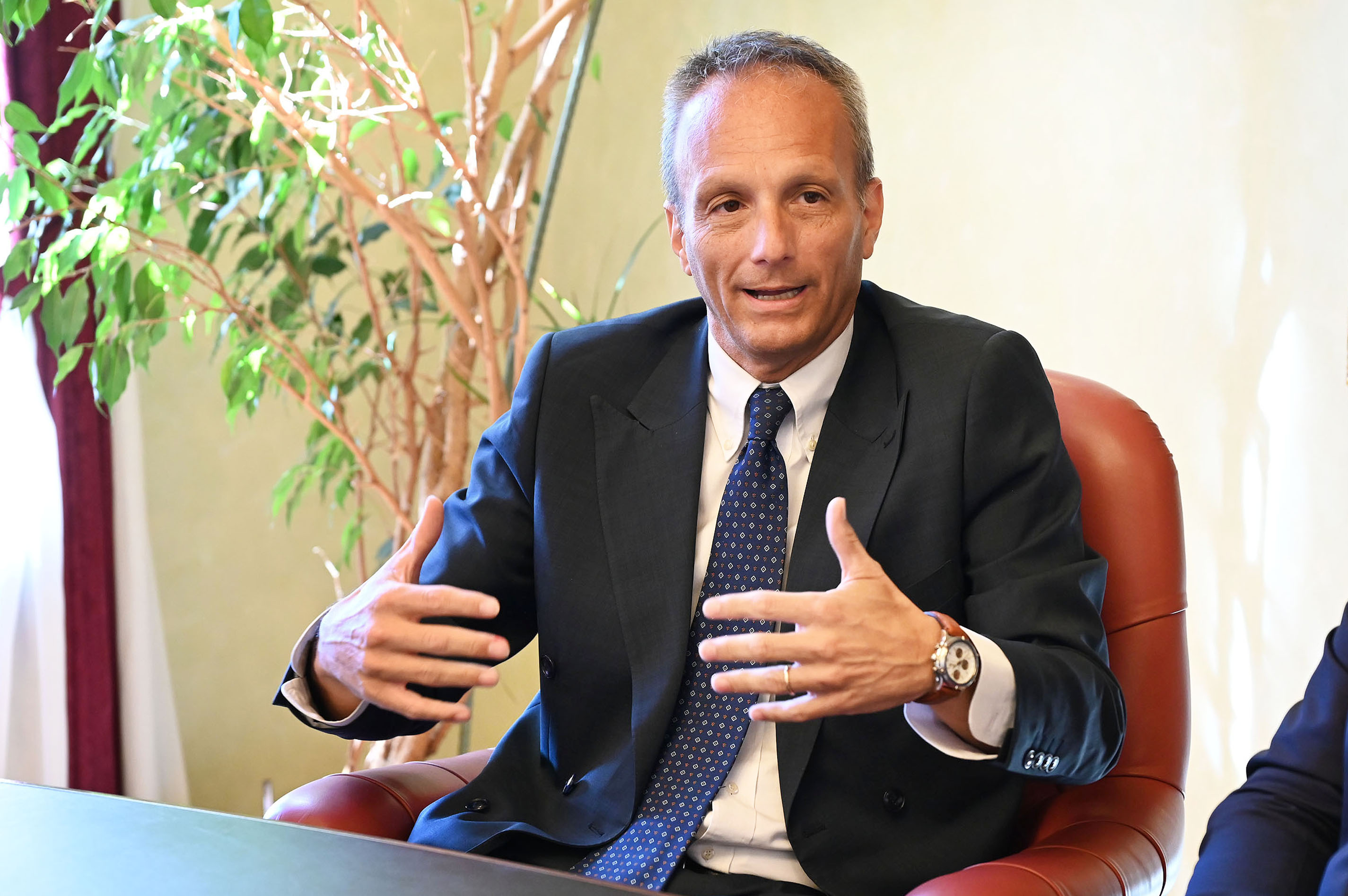 AMBIENTE. PETIZIONE PINI E LITORALE GRIGNANO, BORDIN: TEMPI STRETTI